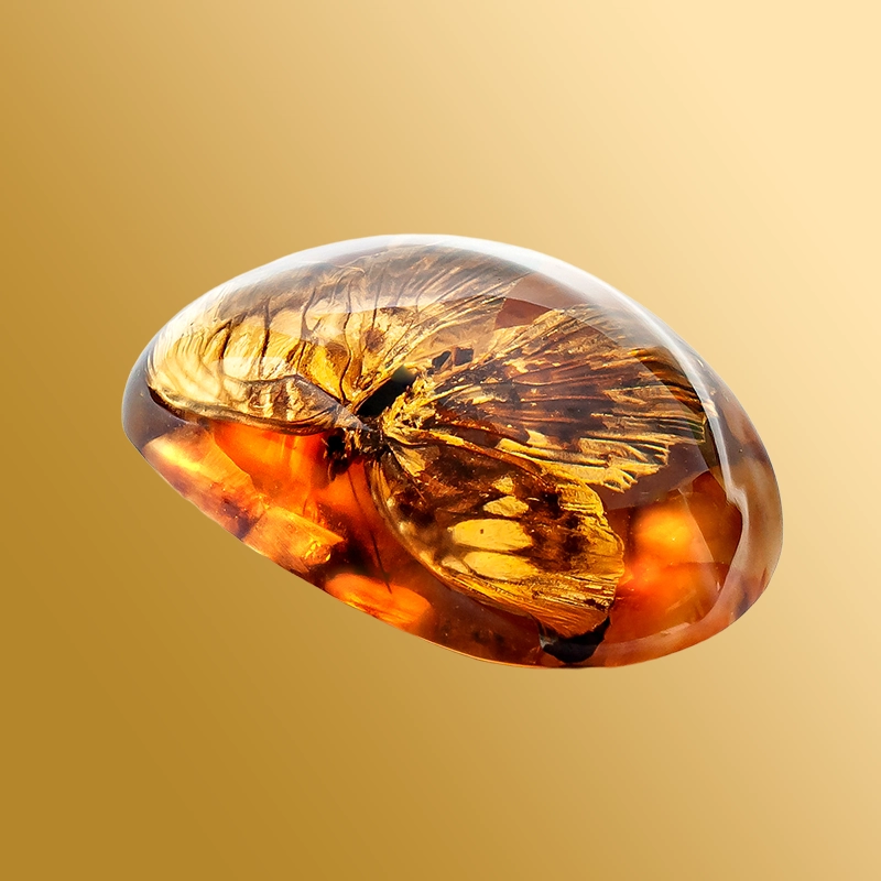 Инклюзы полунатуральные с янтарем Инклюзы полунатуральные с янтарем