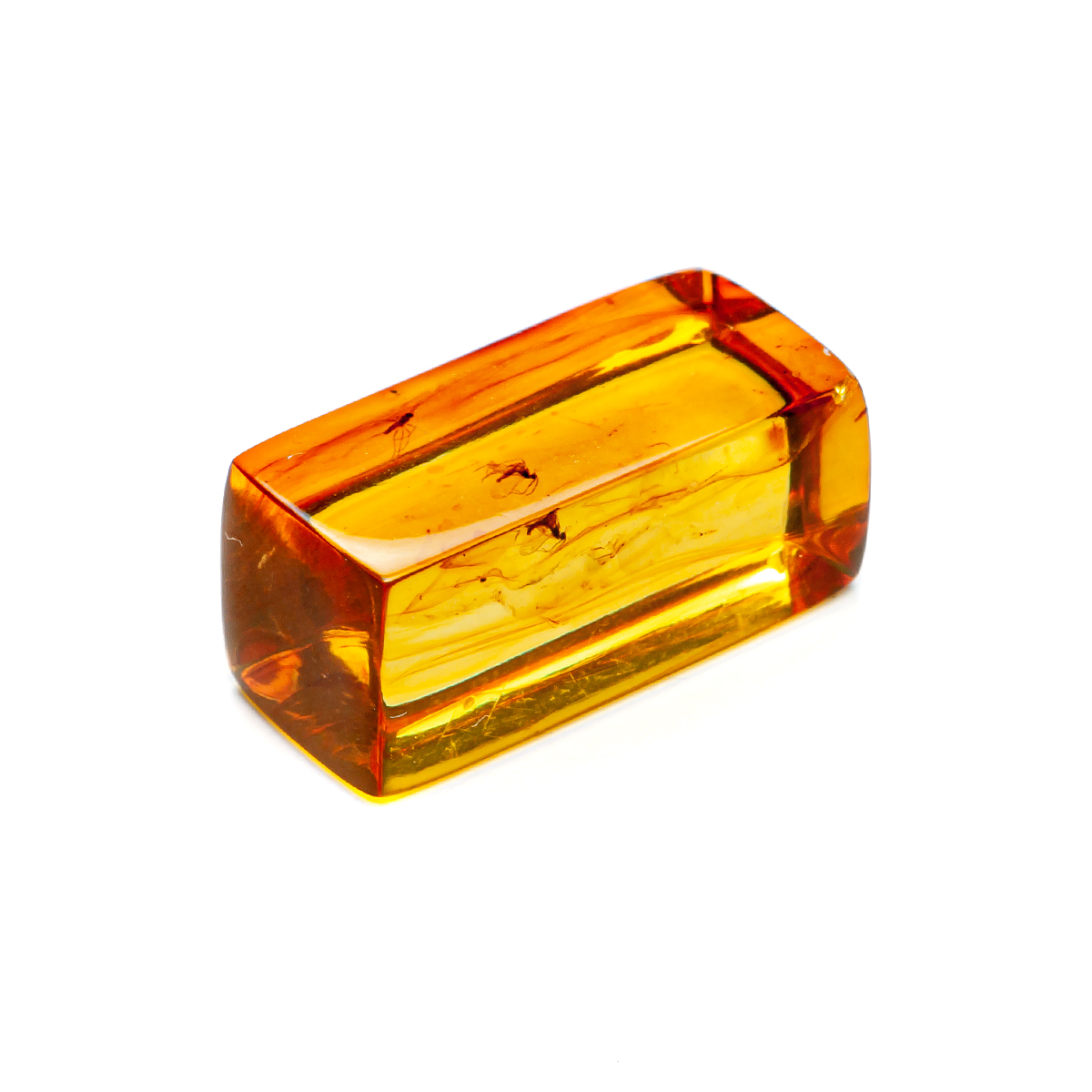 Инклюз Янтарь Инклюз Янтарь