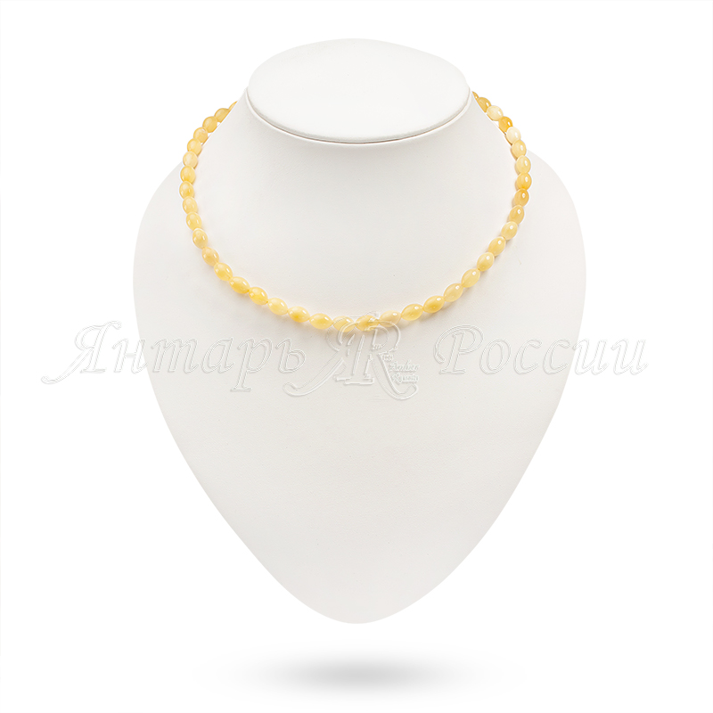 5311067101 5311067101