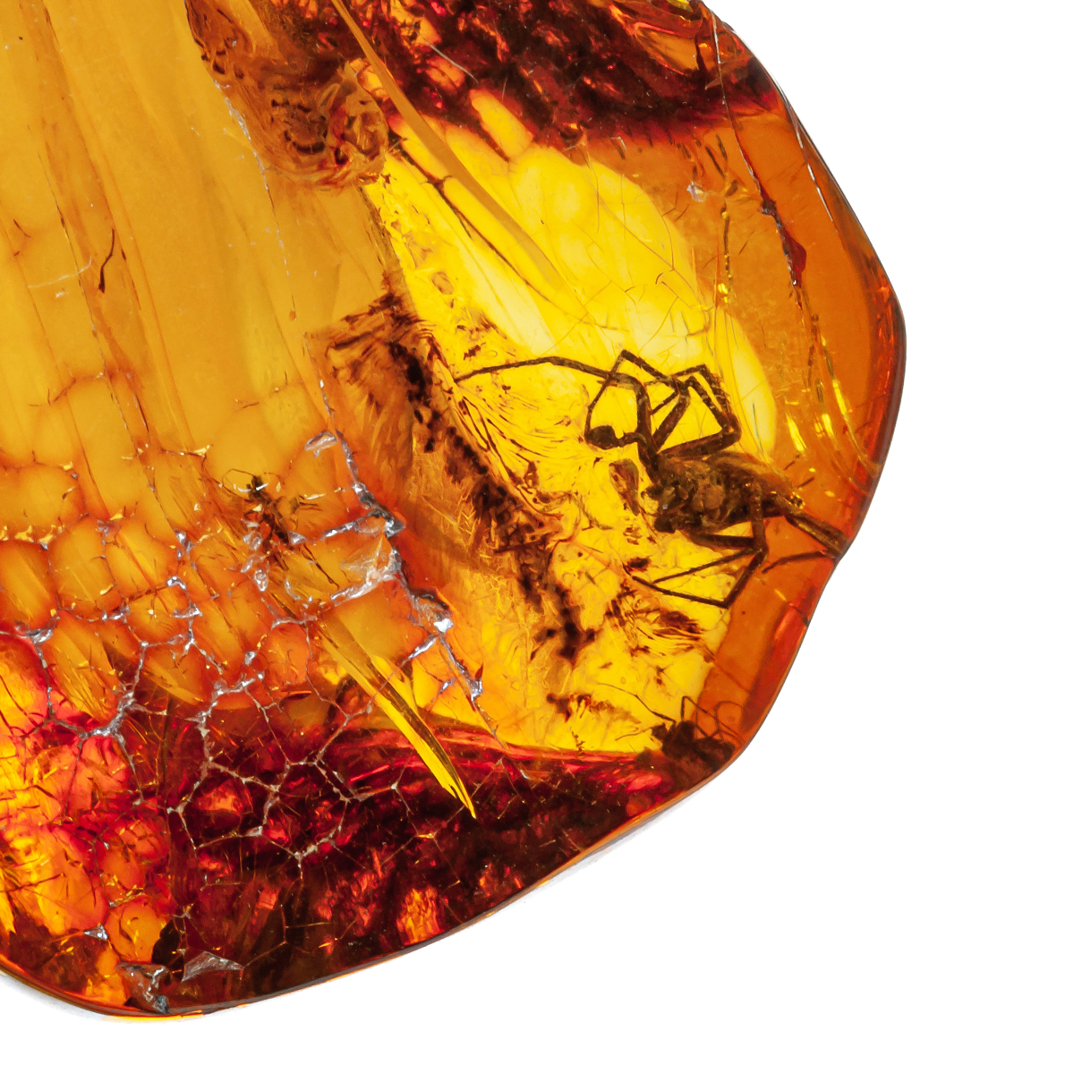 Инклюз Янтарь