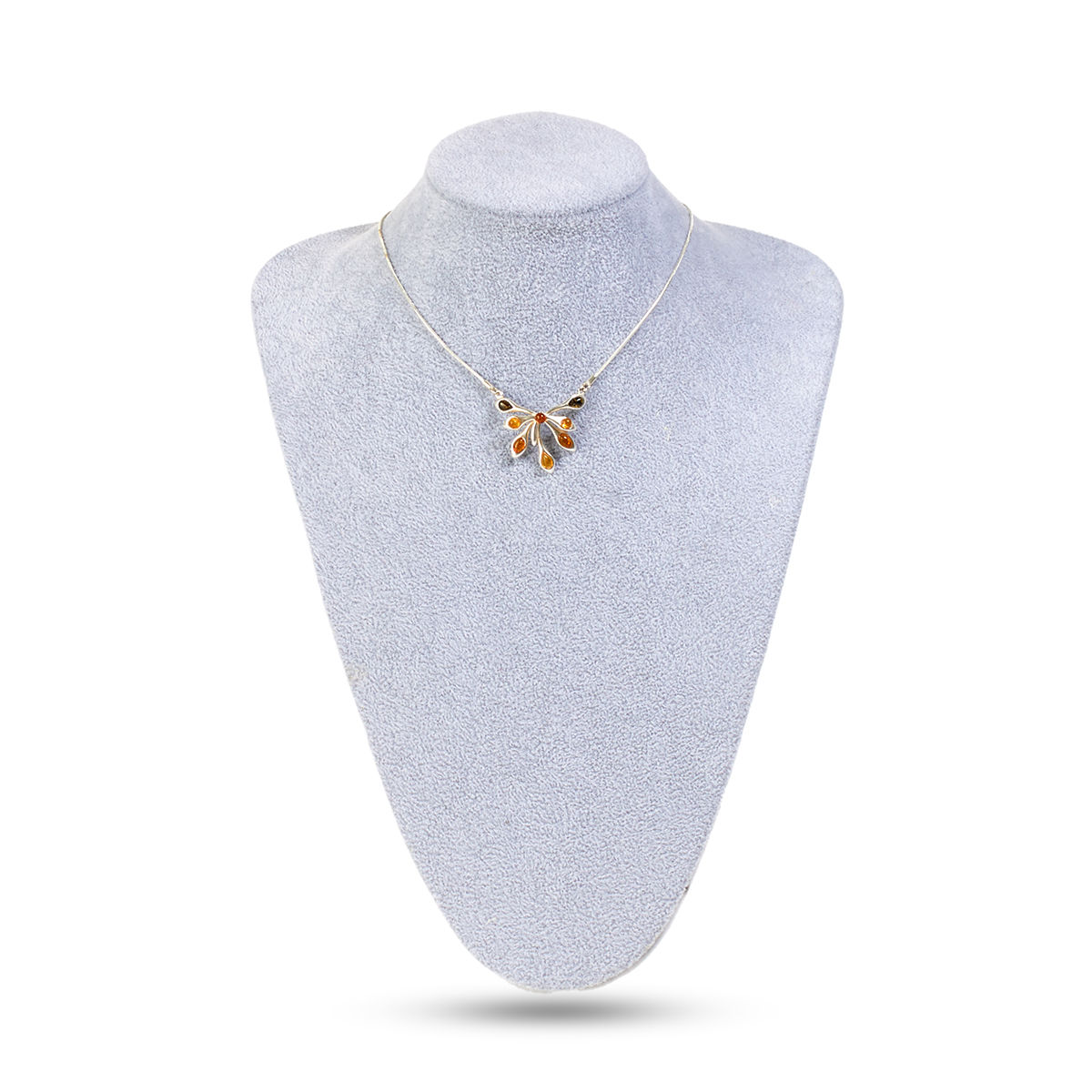 753450163_2 753450163_2