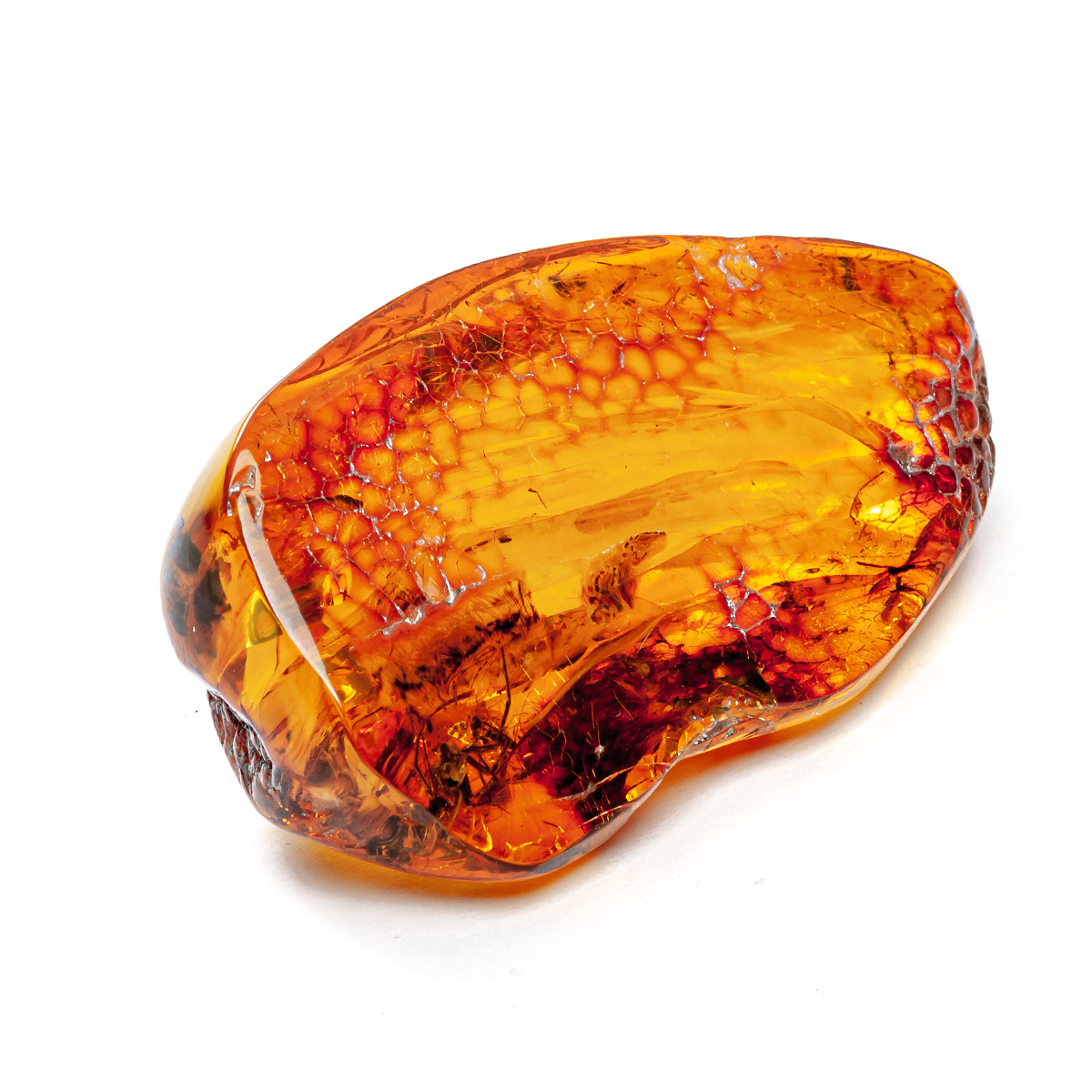 Инклюз Янтарь Инклюз Янтарь