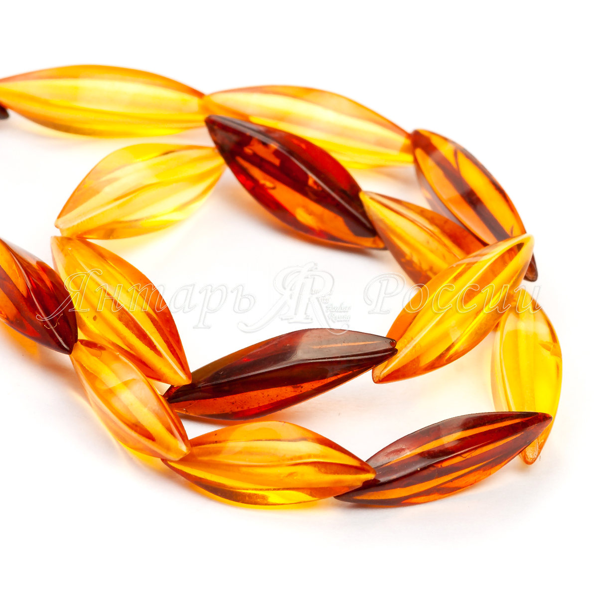 551005606748_3 551005606748_3