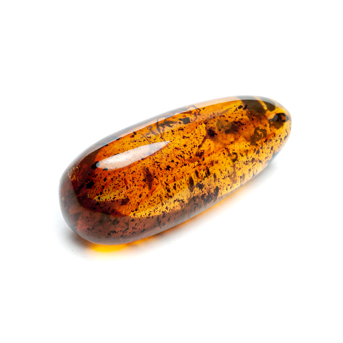 Инклюз Янтарь Инклюз Янтарь