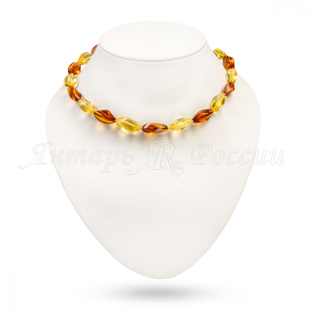 5543005555 5543005555