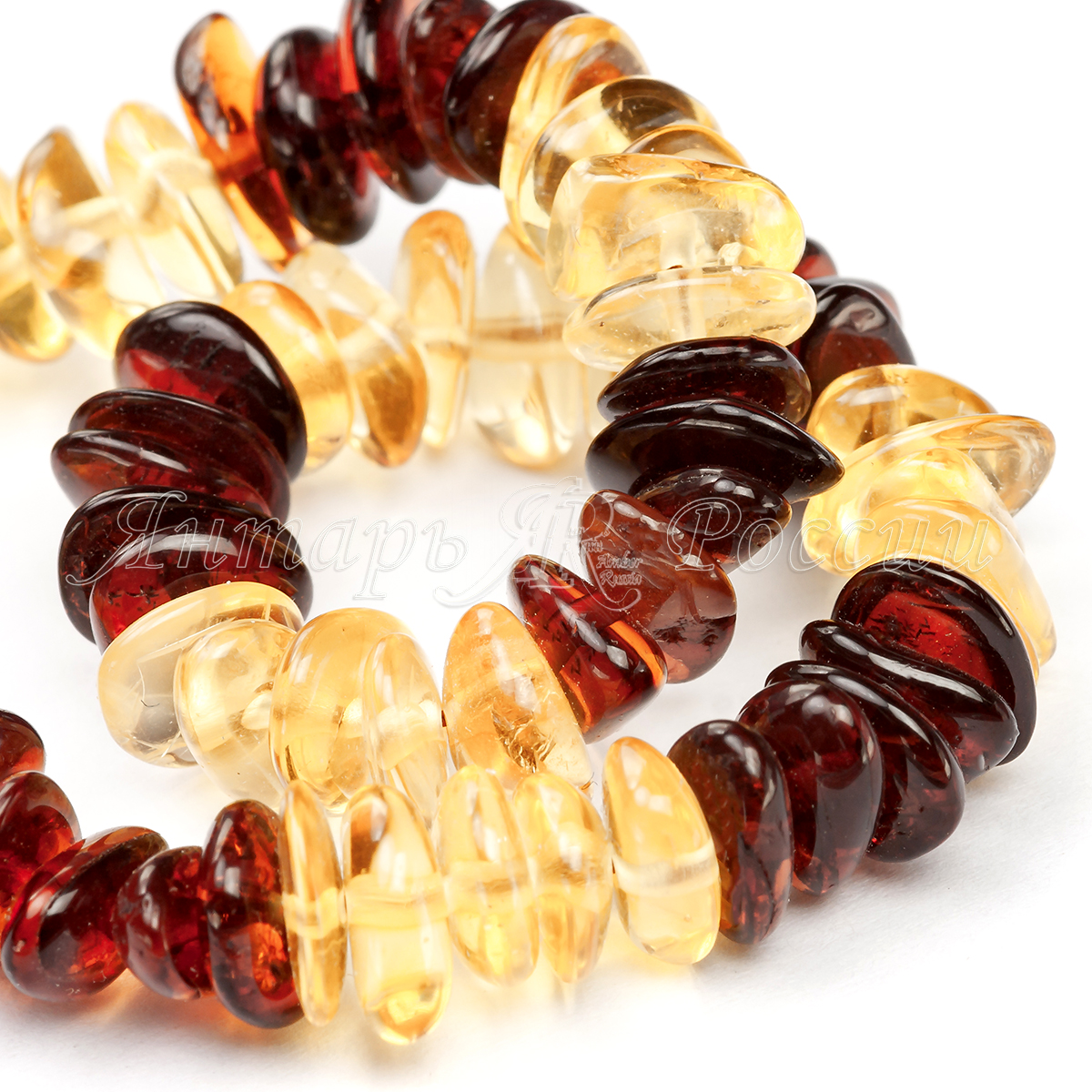 551020504005_3 551020504005_3