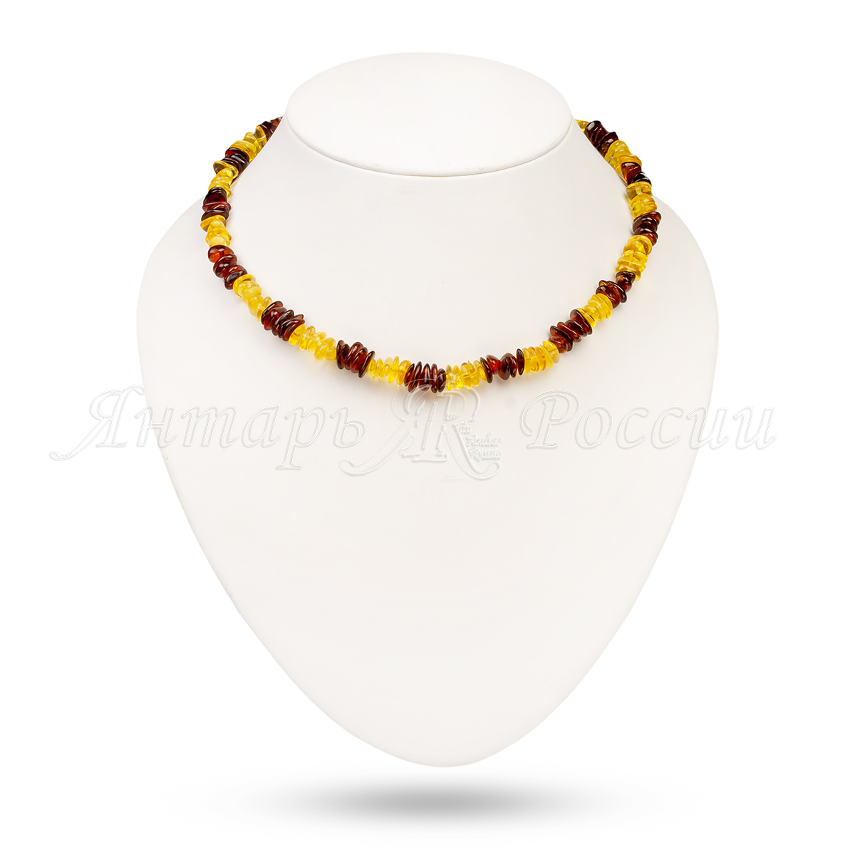 551020504005 551020504005