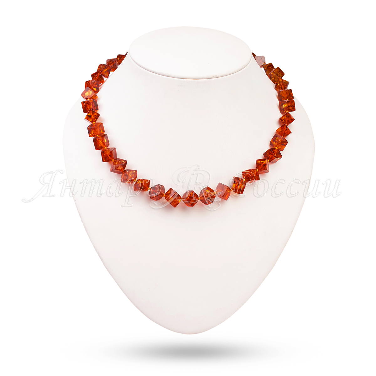 513025556827 513025556827