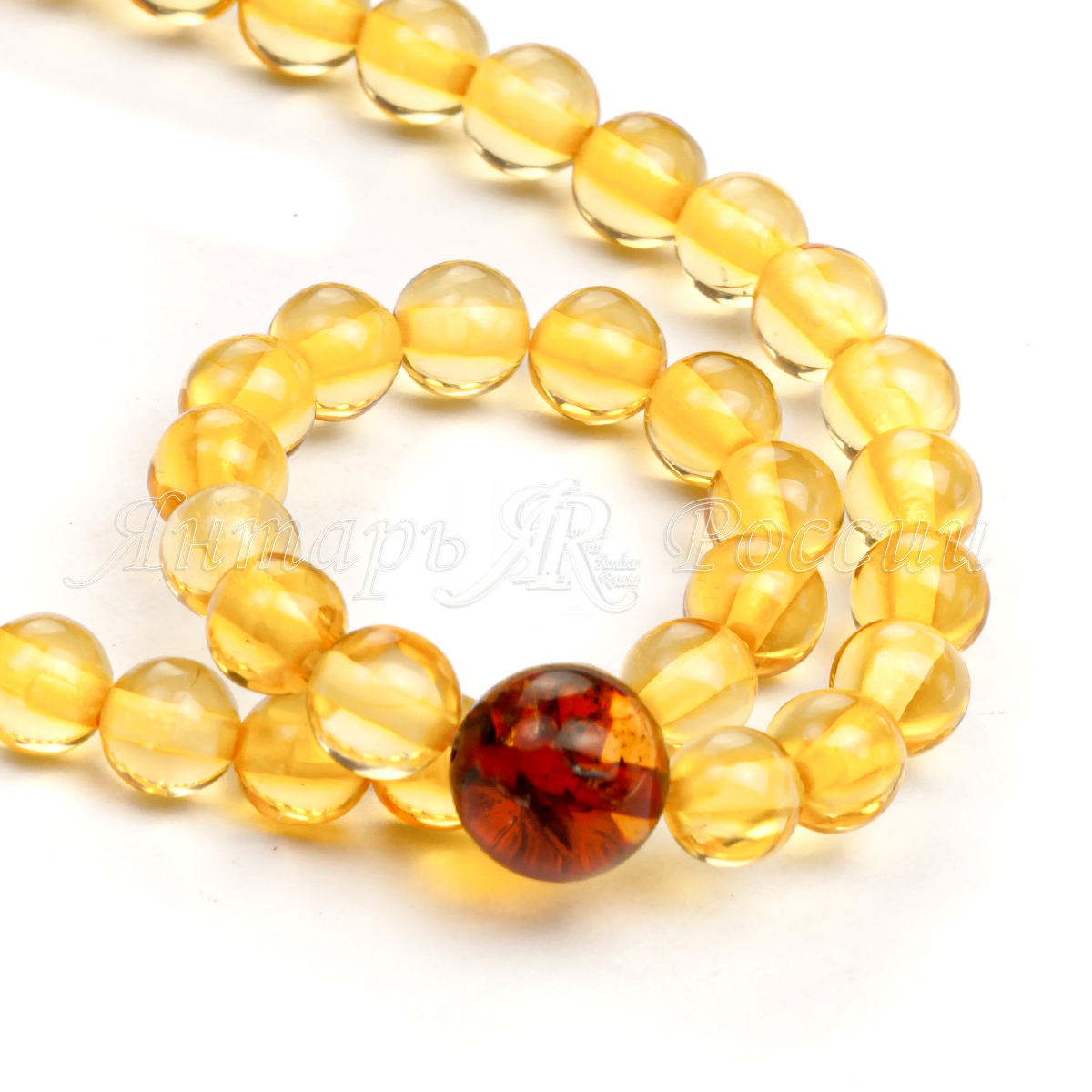 54610090203_3 54610090203_3