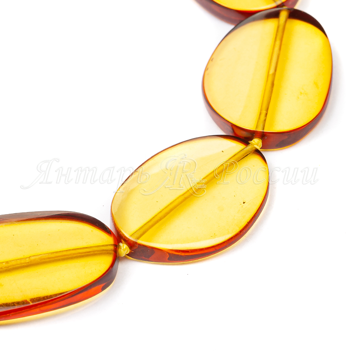 543030507603_3 543030507603_3