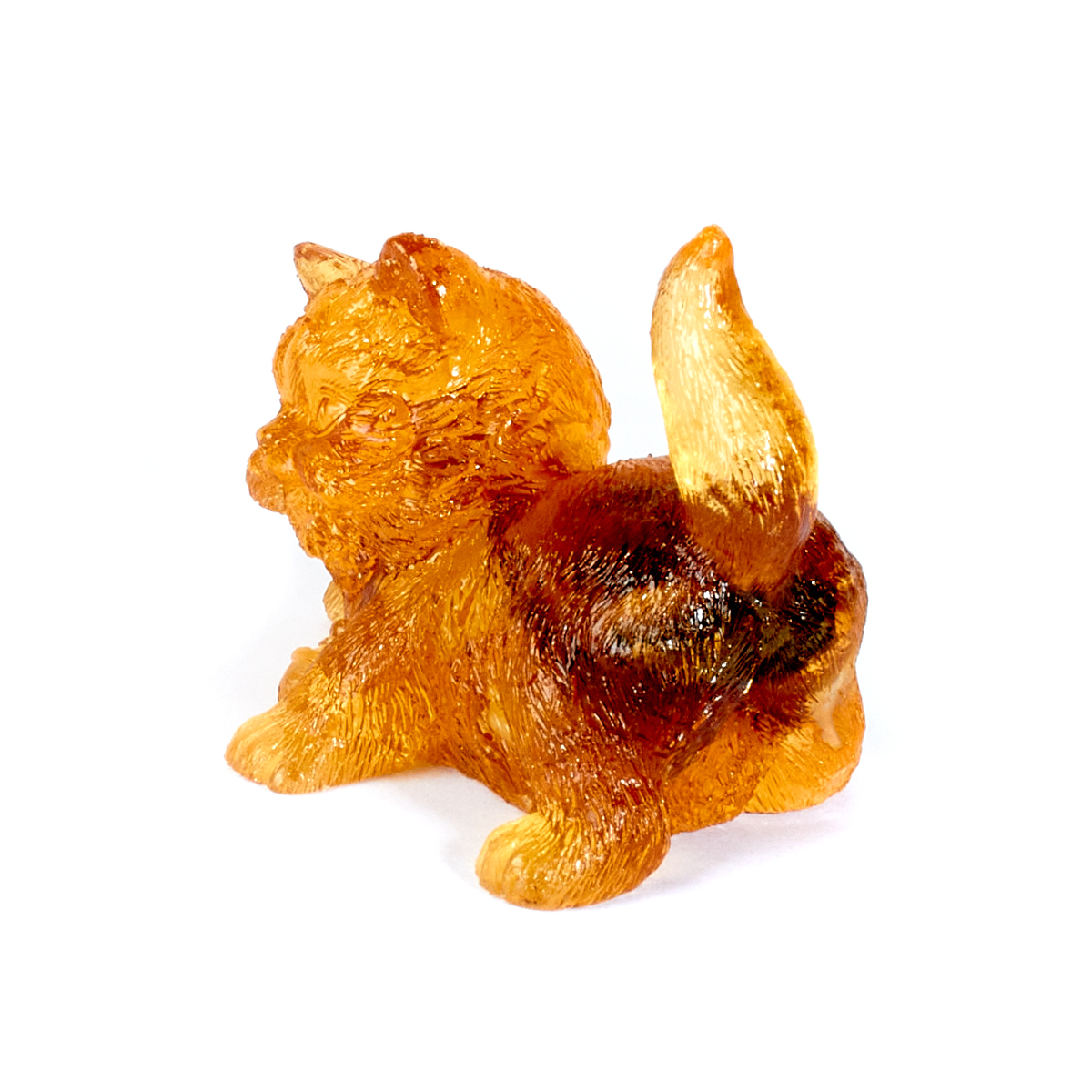 61136955_2 61136955_2