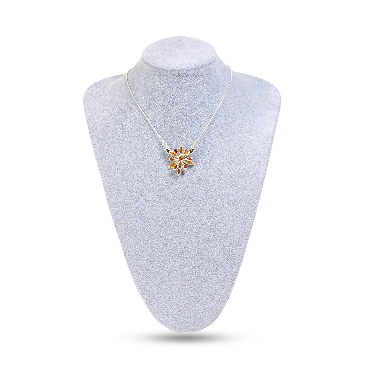 753450165_2 753450165_2