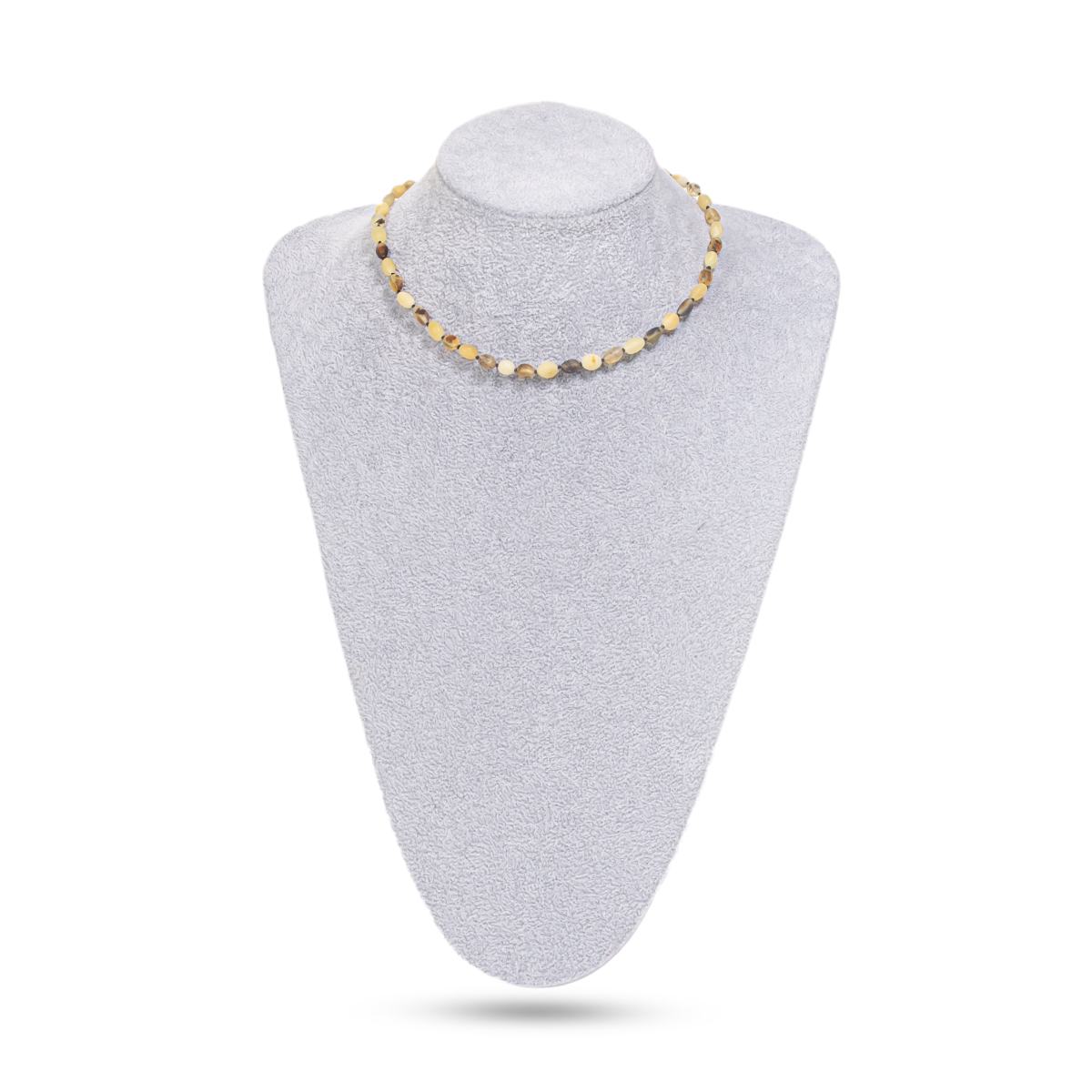 5503000488_2 5503000488_2