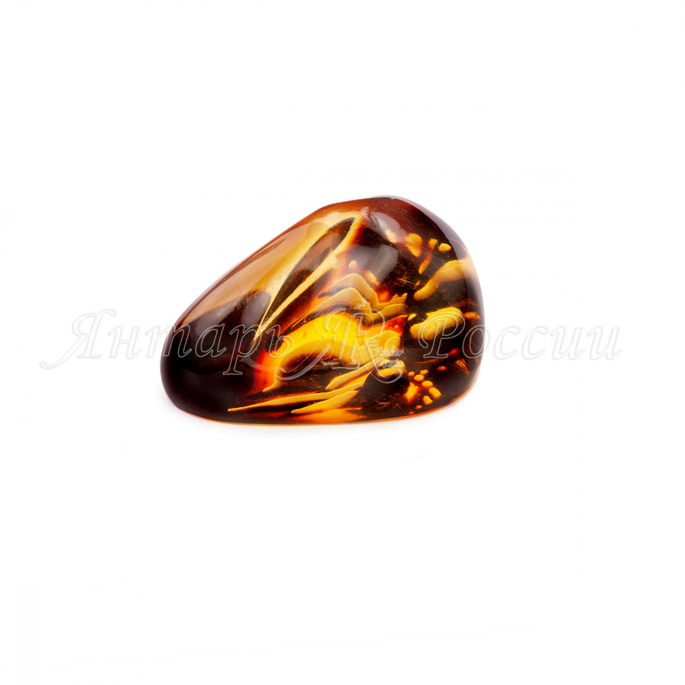 6620013_22 6620013_22