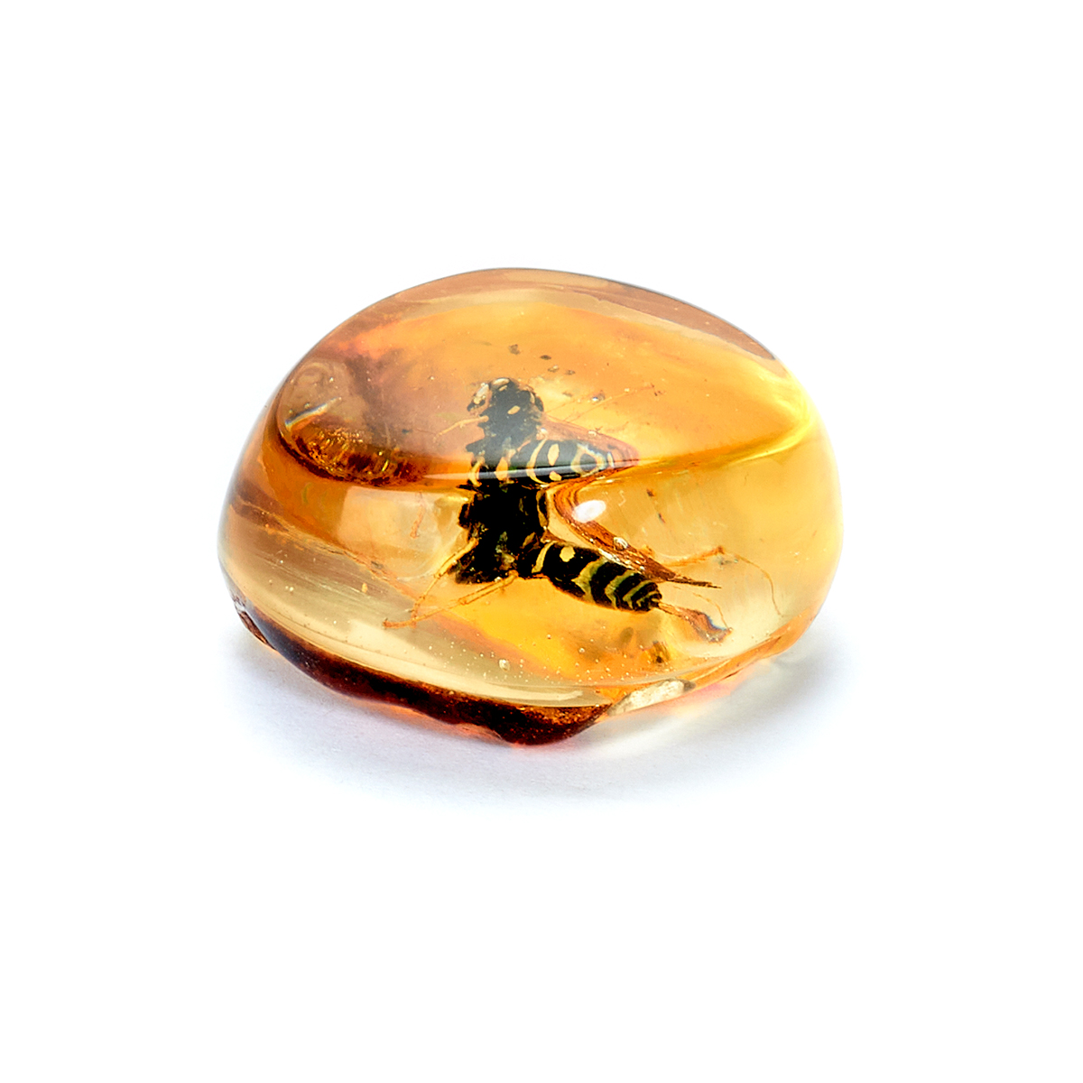 610252300_3 610252300_3