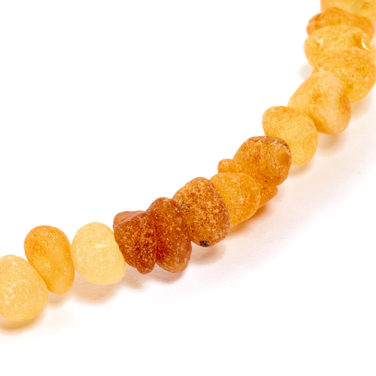 312110210_3 312110210_3