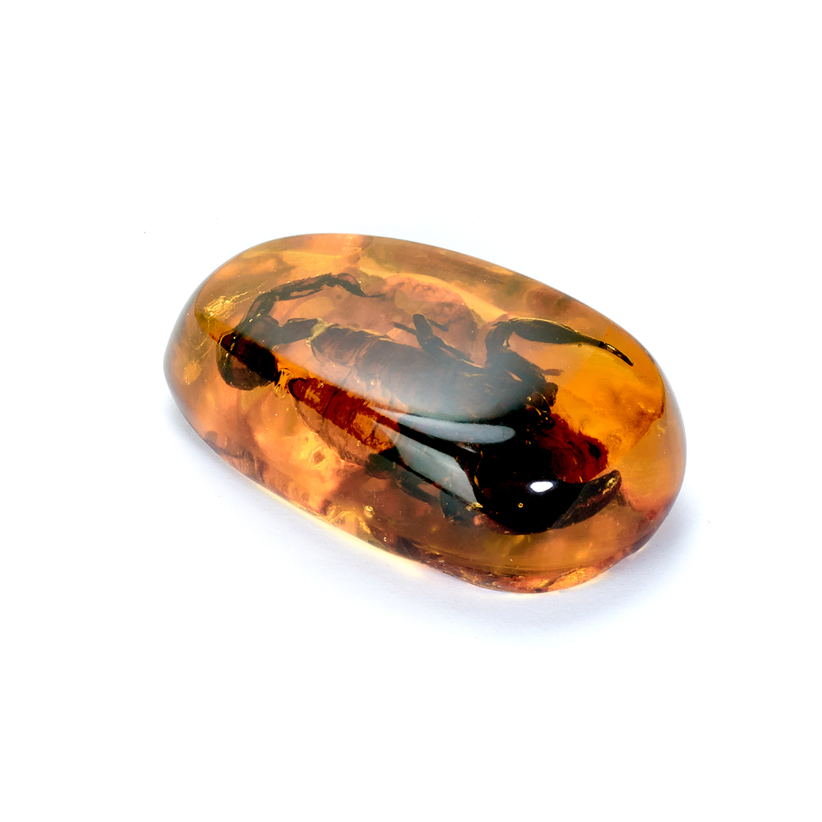 612702360_2 612702360_2