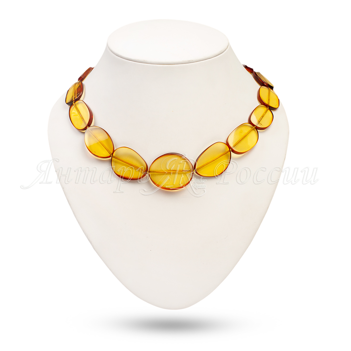 543030507603 543030507603