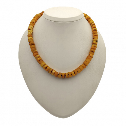 5343000231 5343000231