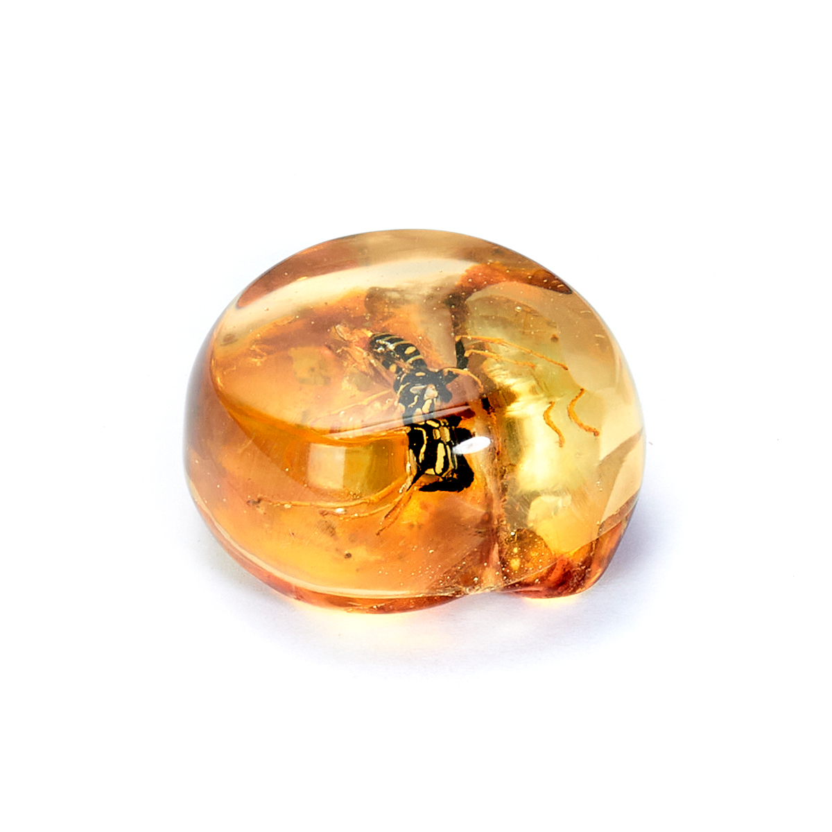 610252300_2 610252300_2