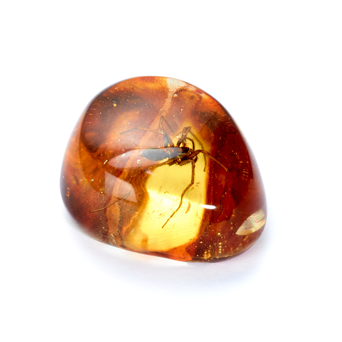 610302320_2 копия