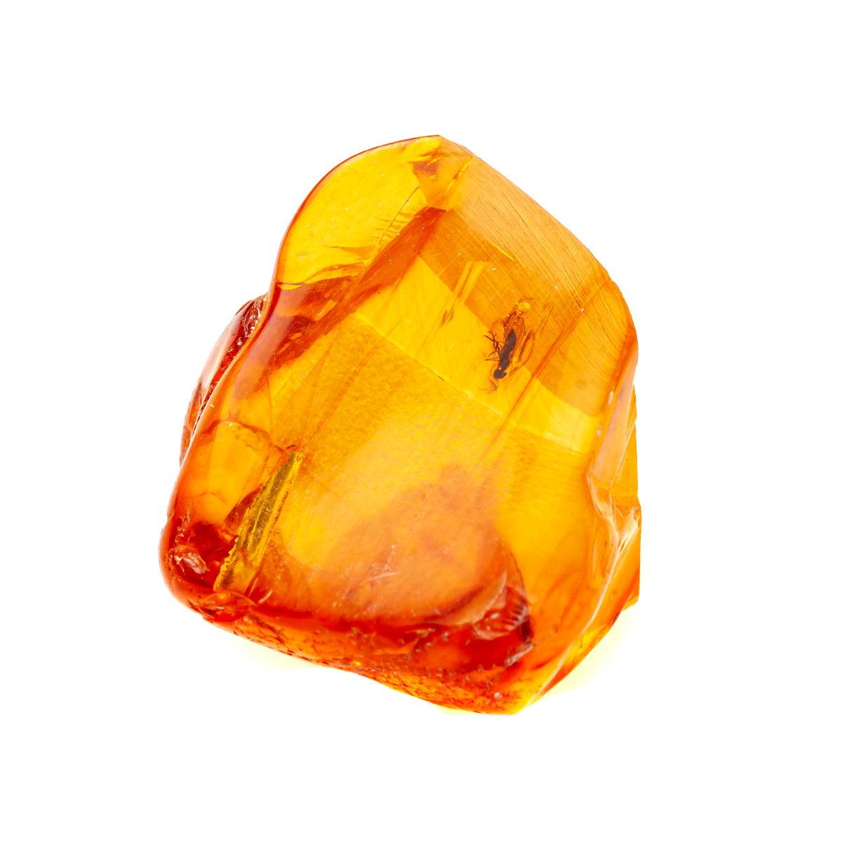 64012140_3 64012140_3