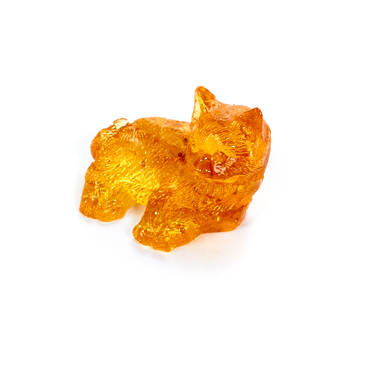 61156955_2 61156955_2